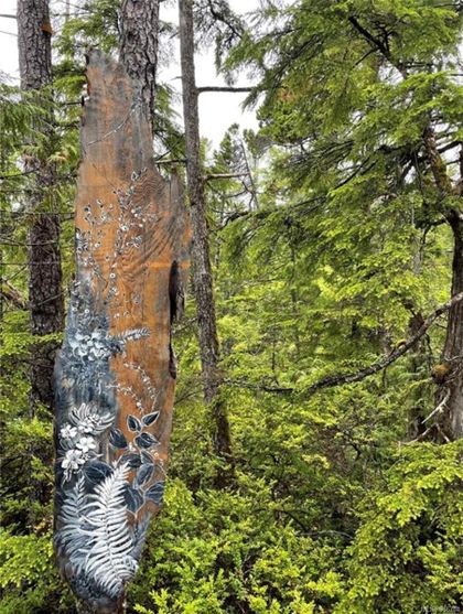Photo 14 at LOT 4 Hawkes Road, Port Alberni