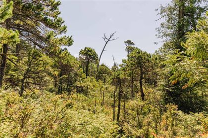 Photo 15 at LOT 4 Hawkes Road, Port Alberni