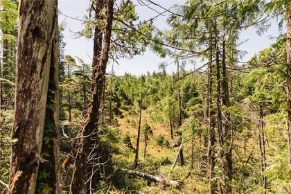 Photo 17 at LOT 4 Hawkes Road, Port Alberni