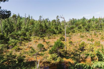 Photo 20 at LOT 4 Hawkes Road, Port Alberni