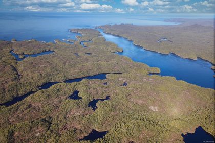 Photo 5 at DL 1216 Slingsby Channel, Small Islands (North Island Area), Islands