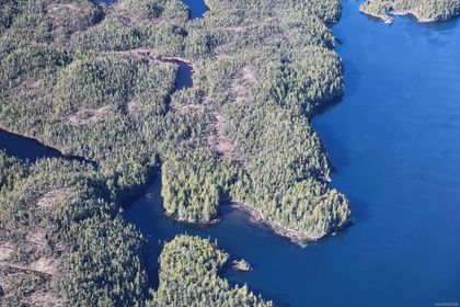 Photo 8 at DL 1216 Slingsby Channel, Small Islands (North Island Area), Islands