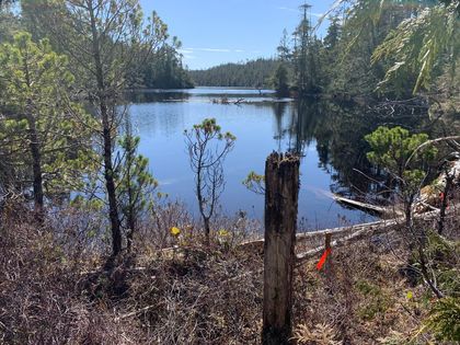 Photo 25 at DL 1216 Slingsby Channel, Small Islands (North Island Area), Islands