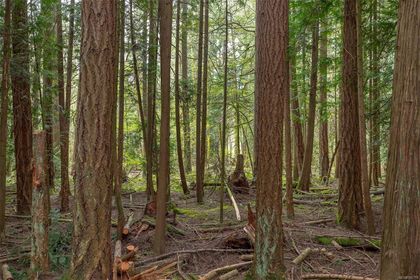 Photo 11 at Lot A La Fortune Road, Cobble Hill, Malahat & Area