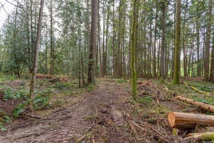 Photo 13 at Lot A La Fortune Road, Cobble Hill, Malahat & Area