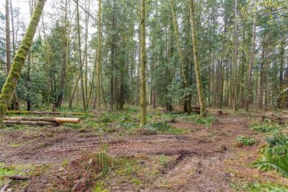 Photo 15 at Lot A La Fortune Road, Cobble Hill, Malahat & Area