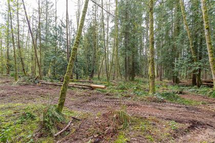 Photo 16 at Lot A La Fortune Road, Cobble Hill, Malahat & Area