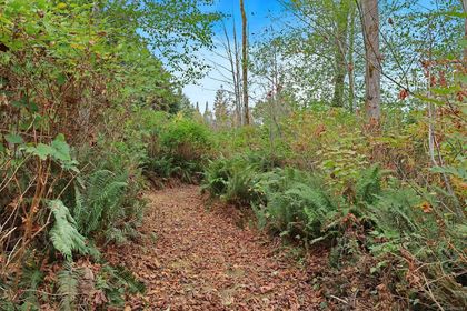 Photo 11 at 6510 Eagles Drive, Courtenay North, Comox Valley