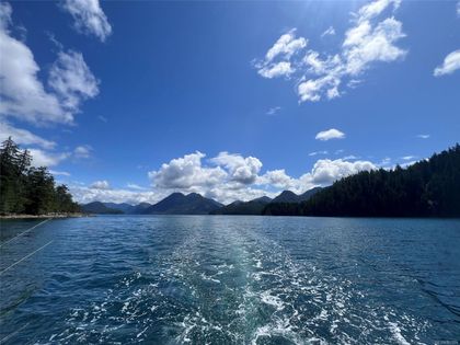 Photo 2 at 893264 Bligh Island, Small Islands (North Island Area), Islands