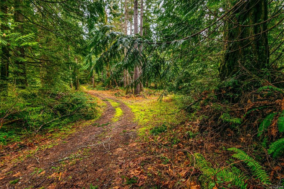 Photo 16 at Lot 13 W Island Highway, Bowser/Deep Bay, Parksville/Qualicum Photo 16 at Lot 13 W Island Highway, Bowser/Deep Bay, Parksville/Qualicum
