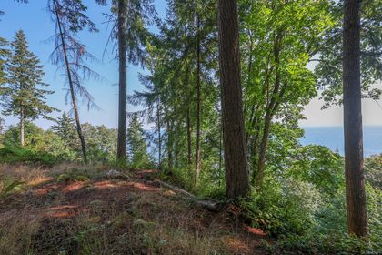 Photo 11 at LT 8 Harmony Crescent, Merville Black Creek, Comox Valley