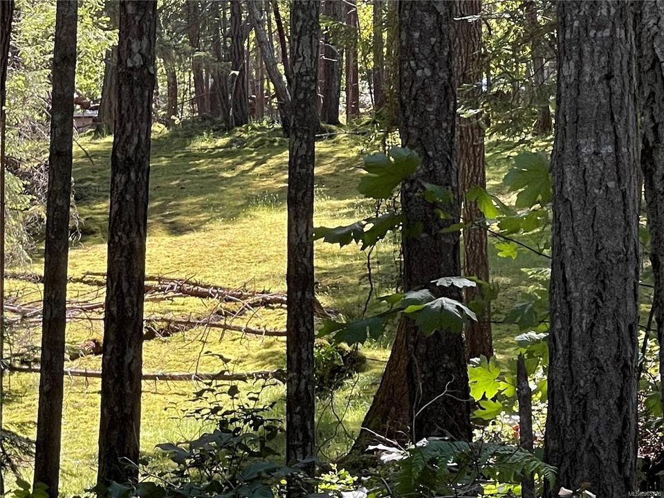 Photo 1 at Lot 2 Driftwood Drive, Mudge Island, Islands