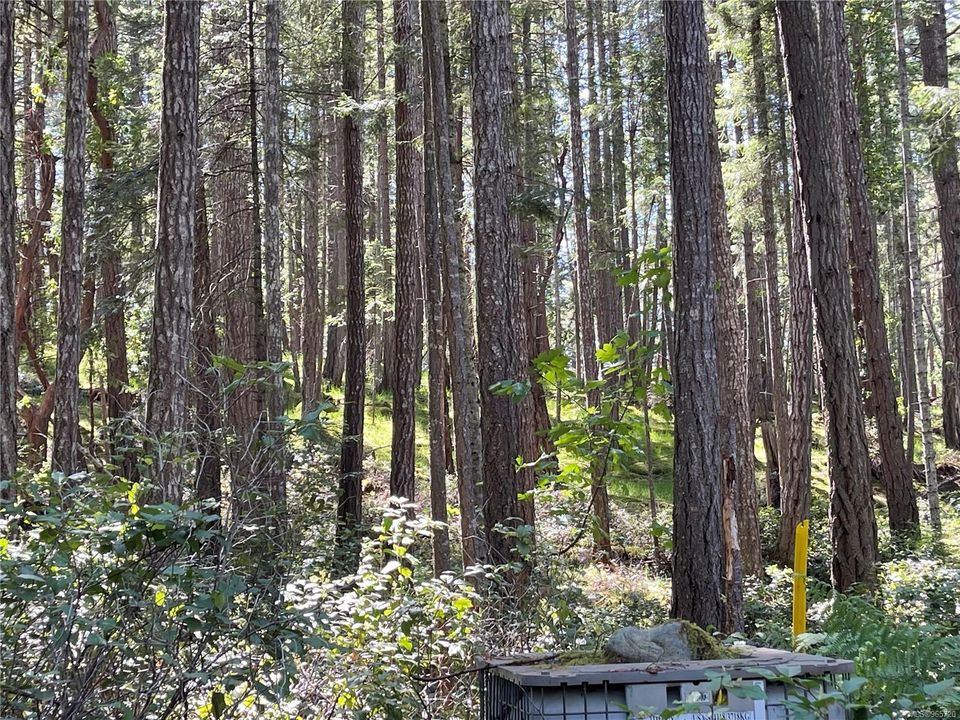 Photo 4 at Lot 2 Driftwood Drive, Mudge Island, Islands