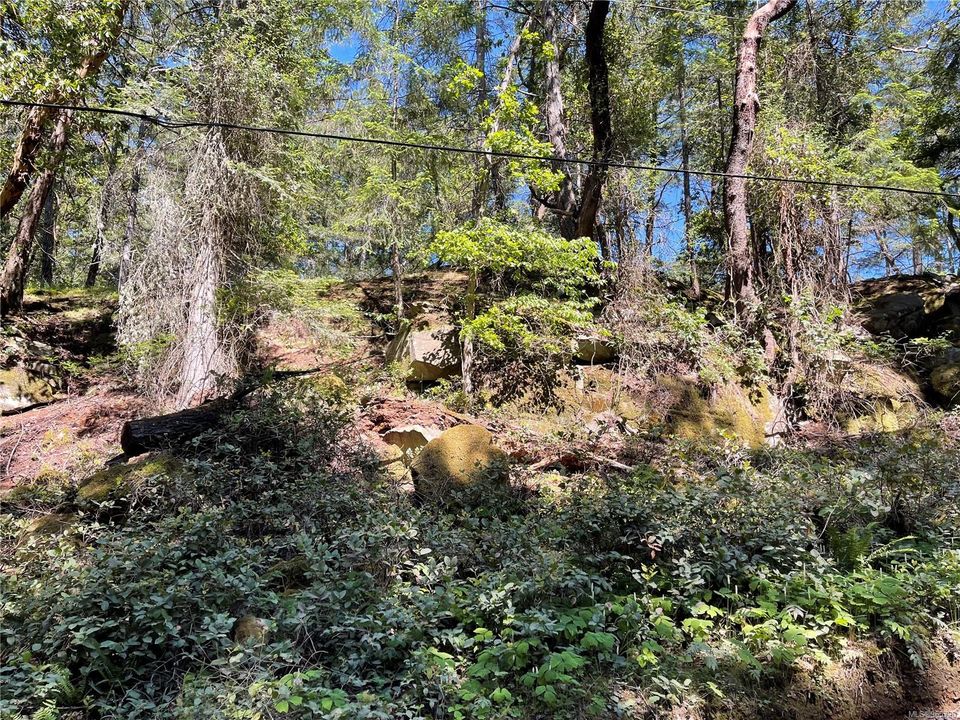 Photo 9 at Lot 2 Driftwood Drive, Mudge Island, Islands
