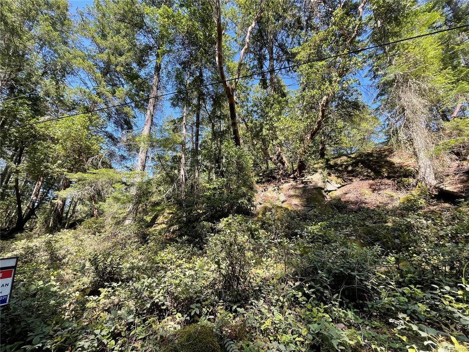 Photo 11 at Lot 2 Driftwood Drive, Mudge Island, Islands
