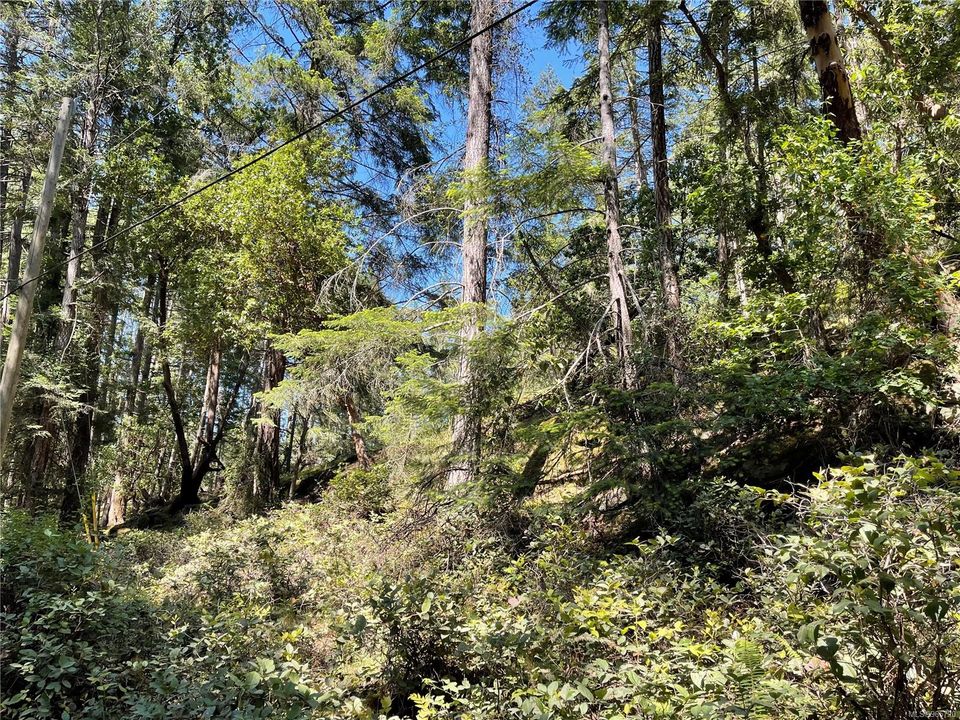 Photo 13 at Lot 2 Driftwood Drive, Mudge Island, Islands