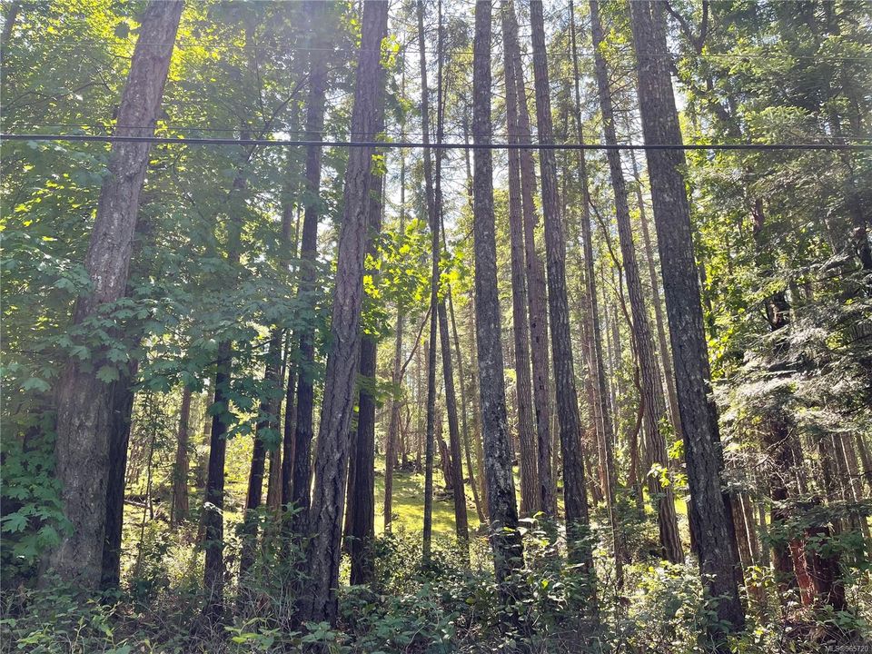 Photo 14 at Lot 2 Driftwood Drive, Mudge Island, Islands