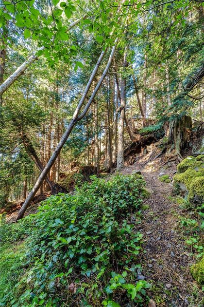 Photo 20 at 498 Marine Trnabt, Mayne Island, Gulf Islands