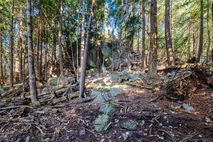 Photo 21 at 498 Marine Trnabt, Mayne Island, Gulf Islands