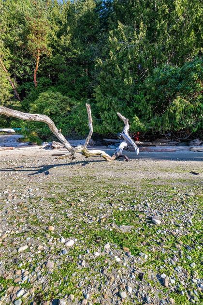 Photo 31 at 498 Marine Trnabt, Mayne Island, Gulf Islands