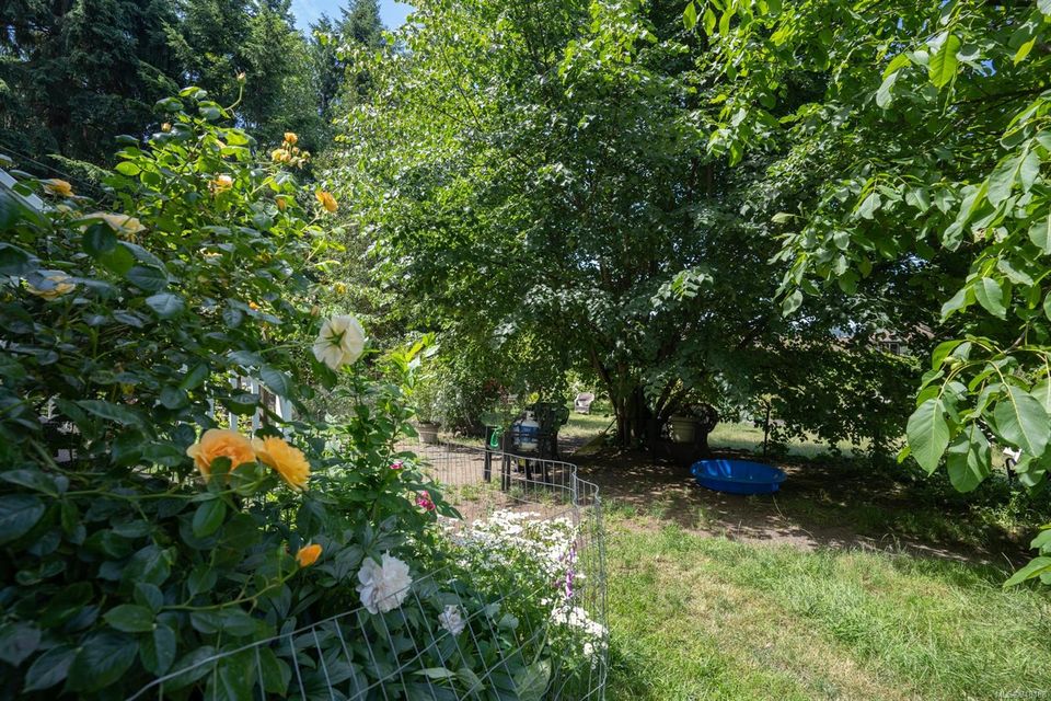 Photo 5 at 6084 Metral Drive, Pleasant Valley, Nanaimo