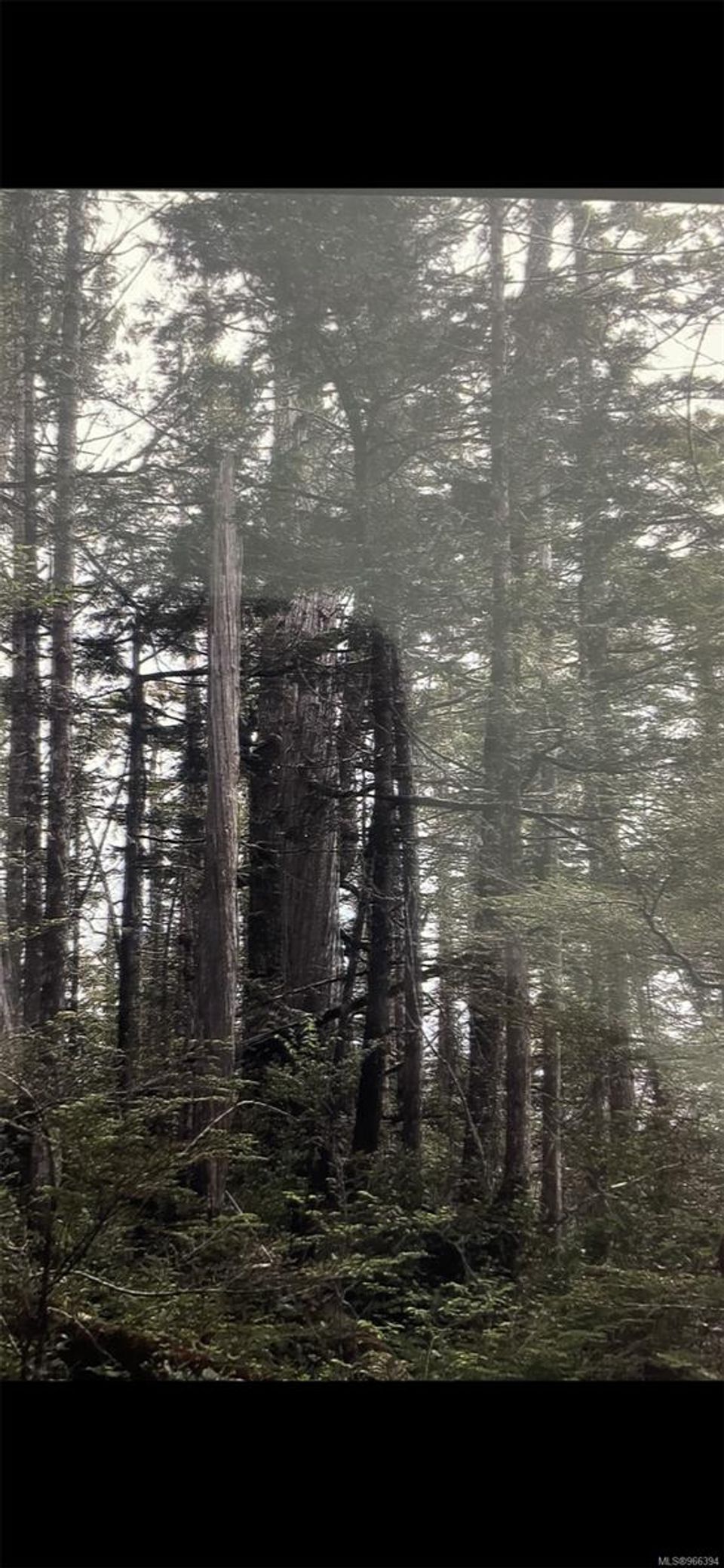 Photo 1 at SW 1/4 Christensen Point, Port Alice, North Island