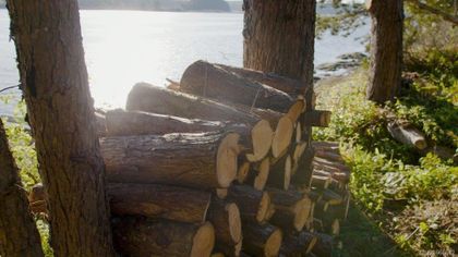 Photo 31 at  Norway Island, Gulf Isl Other, Gulf Islands