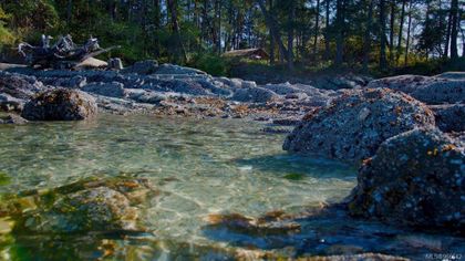 Photo 32 at  Norway Island, Gulf Isl Other, Gulf Islands