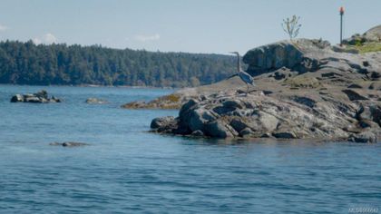 Photo 34 at  Norway Island, Gulf Isl Other, Gulf Islands