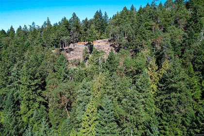 Photo 28 at 332 Deacon Hill Road, Mayne Island, Gulf Islands