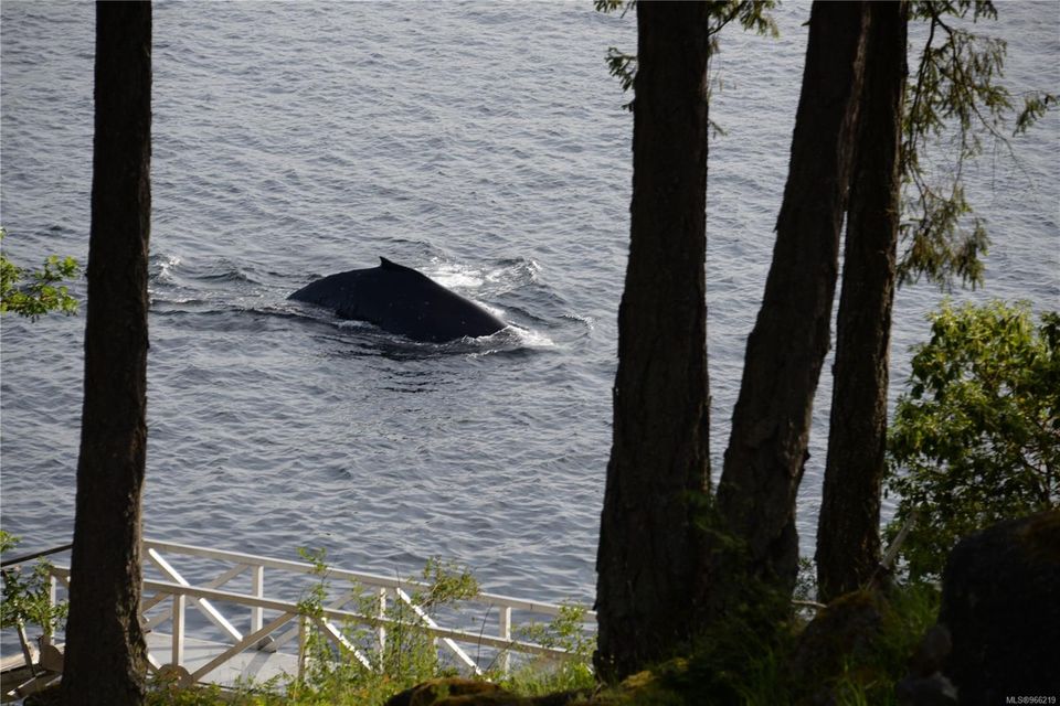 Photo 84 at 225 Sea Meadow Drive, Gabriola Island, Islands