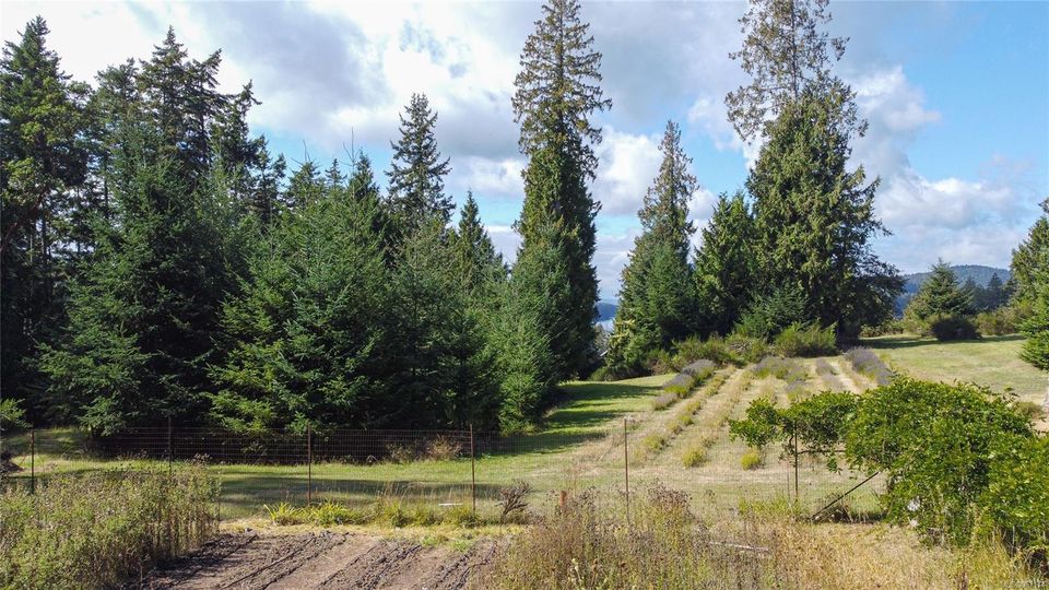 Photo 6 at 415 Campbell Bay Road, Mayne Island, Gulf Islands