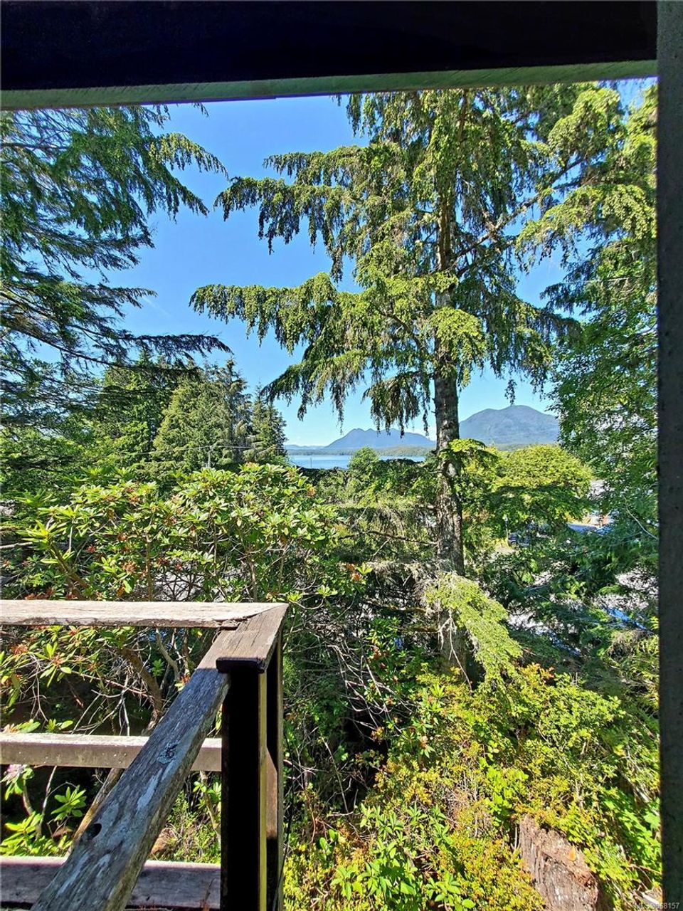 Photo 20 at 251 Campbell Street, Tofino, Port Alberni