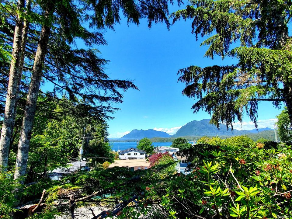 Photo 29 at 251 Campbell Street, Tofino, Port Alberni