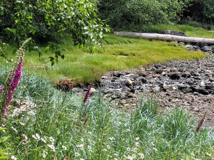 Photo 92 at SL 6 Whalebone Cove Road, Quadra Island, Islands