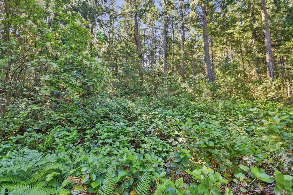 Photo 9 at LT 112 Hemlock Avenue, Gabriola Island, Islands