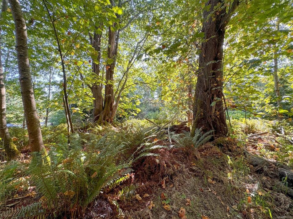 Photo 1 at Lot 7 The Strand, Gabriola Island, Islands