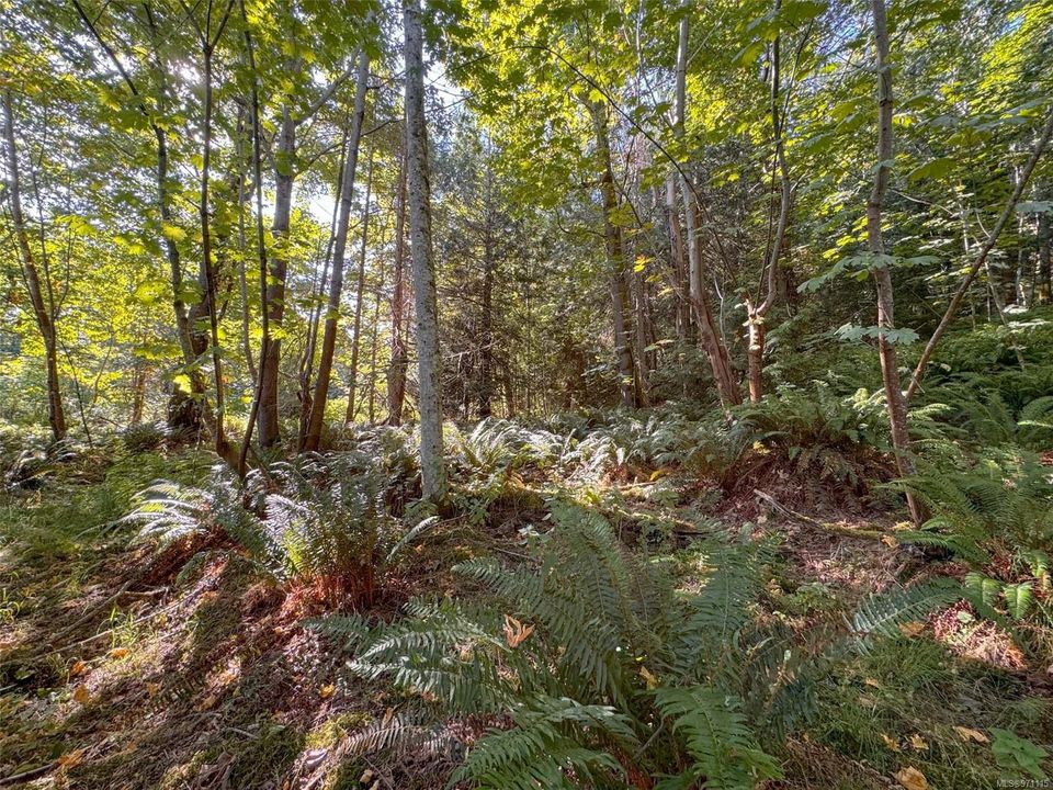 Photo 3 at Lot 7 The Strand, Gabriola Island, Islands