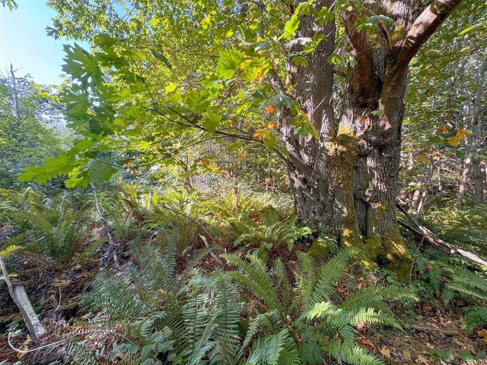 Photo 5 at Lot 7 The Strand, Gabriola Island, Islands
