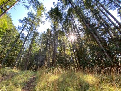 Photo 5 at Lt 4 Sitka Grove, Gabriola Island, Islands