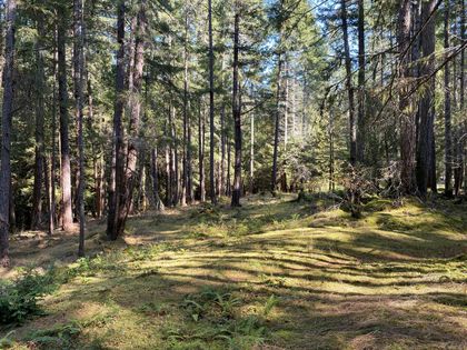 Photo 10 at Lt 4 Sitka Grove, Gabriola Island, Islands