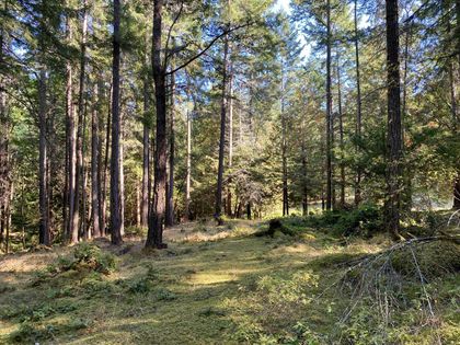 Photo 11 at Lt 4 Sitka Grove, Gabriola Island, Islands