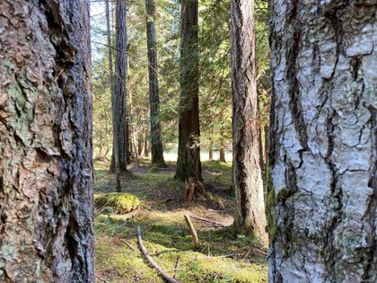 Photo 12 at Lt 4 Sitka Grove, Gabriola Island, Islands