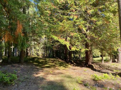 Photo 13 at Lt 4 Sitka Grove, Gabriola Island, Islands