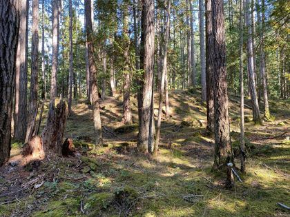 Photo 19 at Lt 4 Sitka Grove, Gabriola Island, Islands