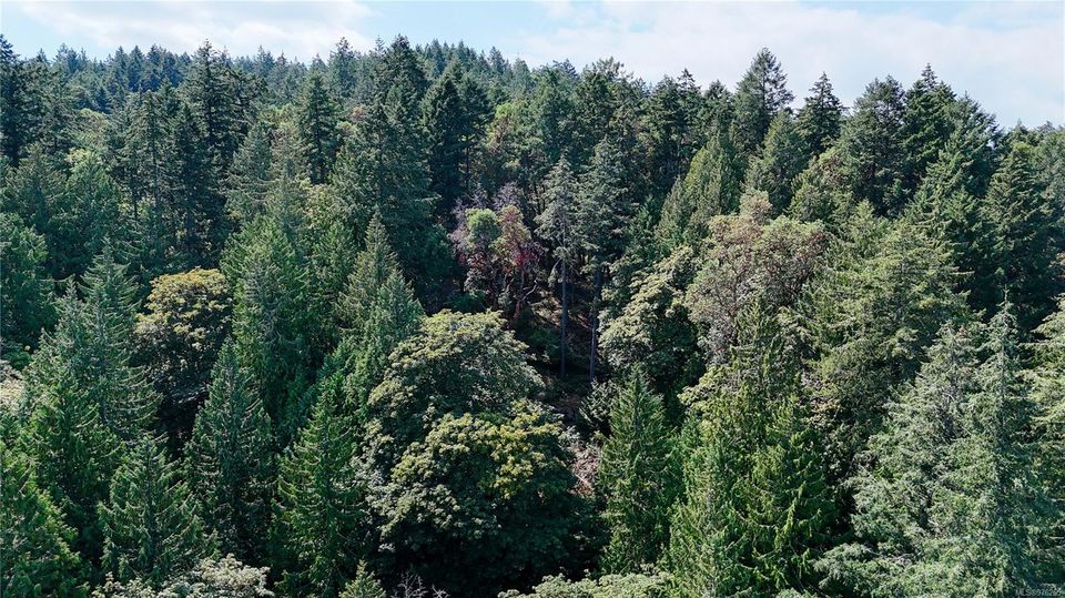 Photo 9 at Lot 4 Willis Point Road, Willis Point, Central Saanich
