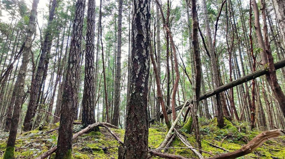 Photo 8 at Lt 15 Coats Drive, Gabriola Island, Islands