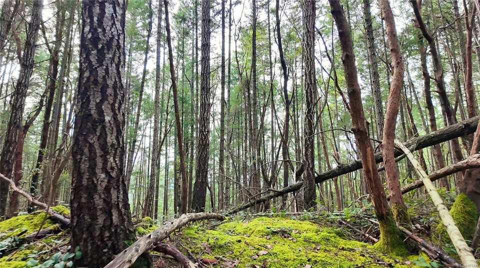 Photo 9 at Lt 15 Coats Drive, Gabriola Island, Islands
