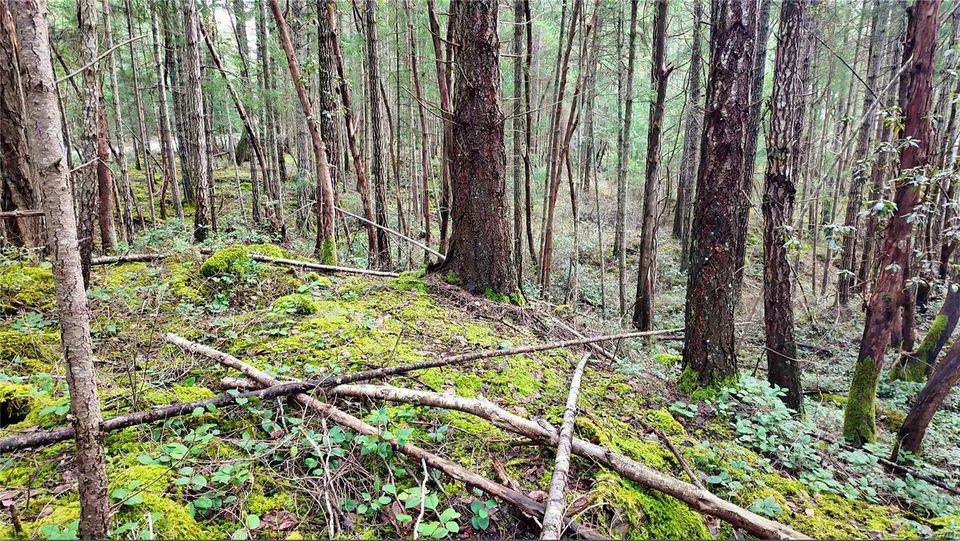 Photo 10 at Lt 15 Coats Drive, Gabriola Island, Islands