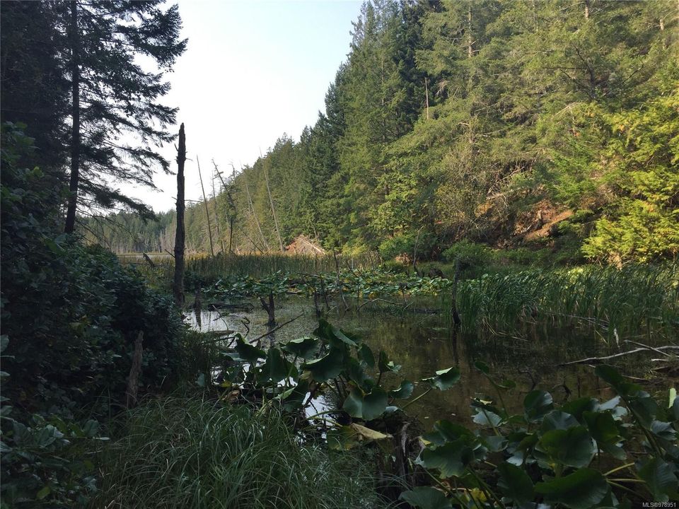 Photo 1 at  Trematon Lake, Lasqueti Island, Islands